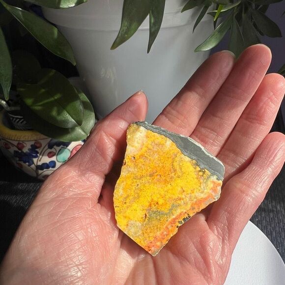 Indonesian Bumblebee Jasper Freeform‎ Stone - Picture 2 of 11